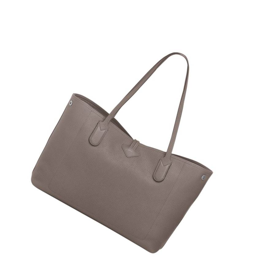 Bolsa De Hombro Longchamp Roseau Essential Mujer Gris | ES-RDWY136