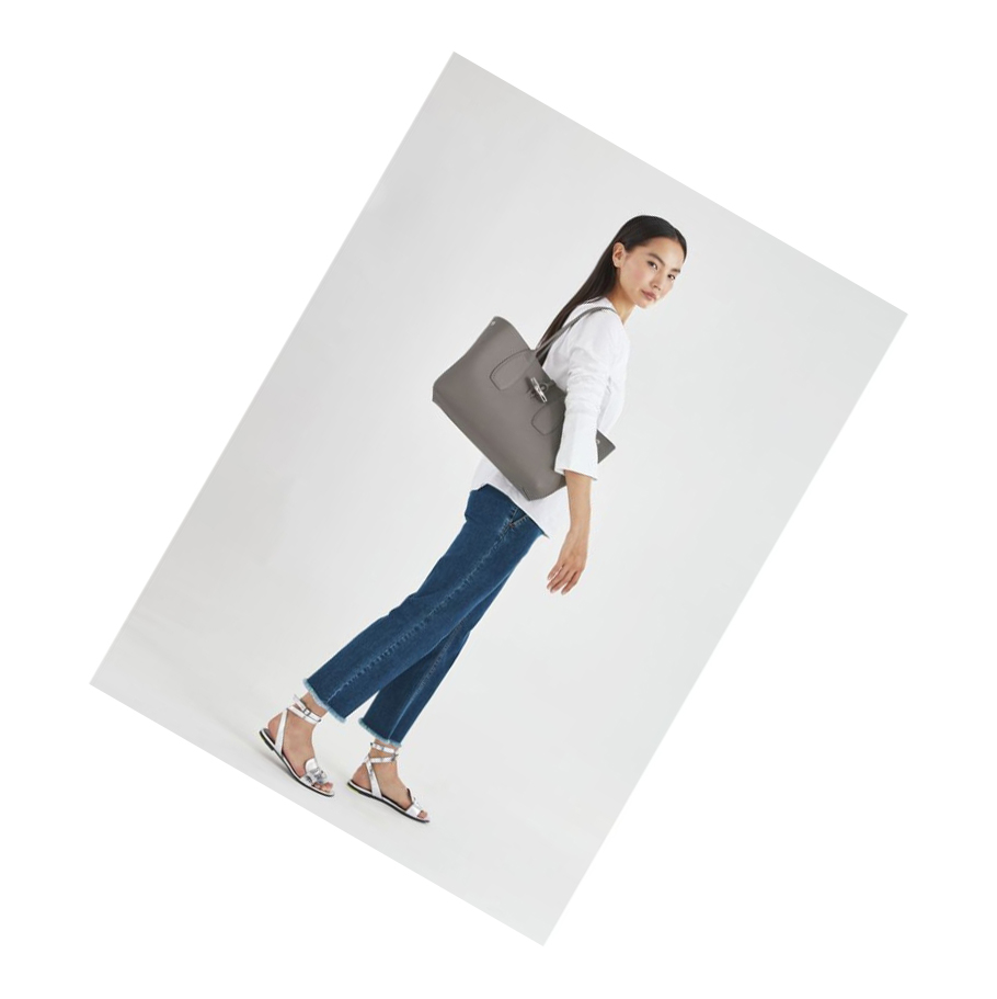 Bolsa De Hombro Longchamp Roseau Mujer Gris | ES-JANE597