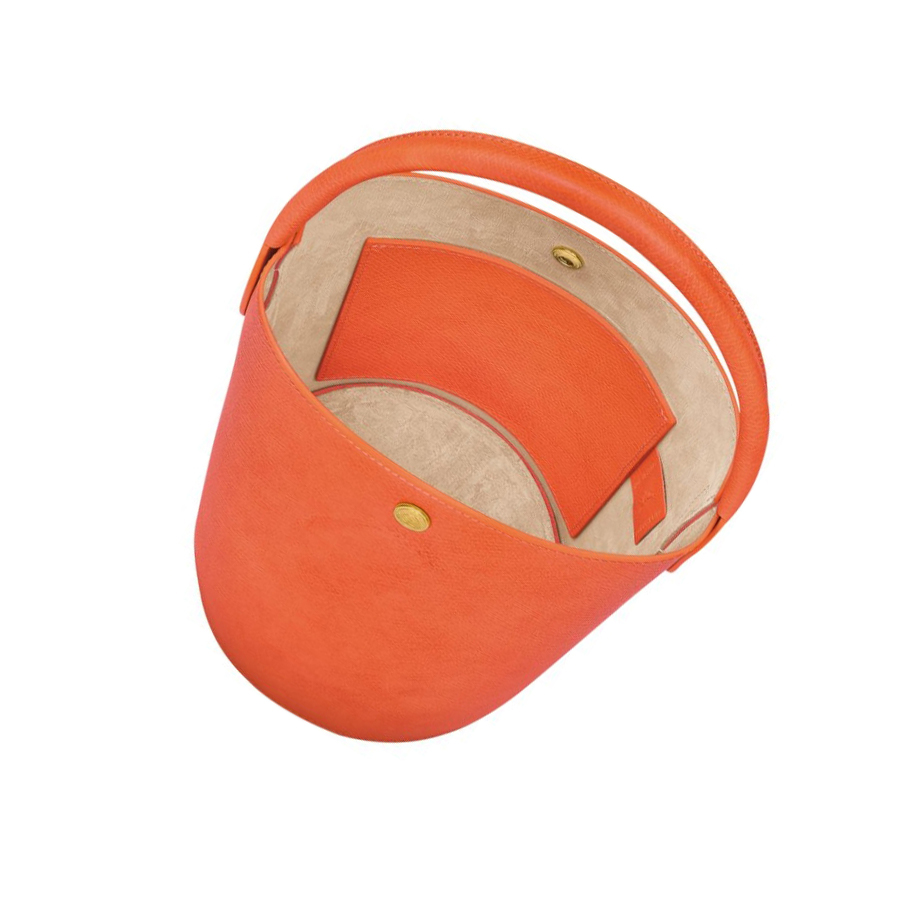 Bolsas De Mano Longchamp Cuir De Russie Mujer Naranjas | ES-GJZK892