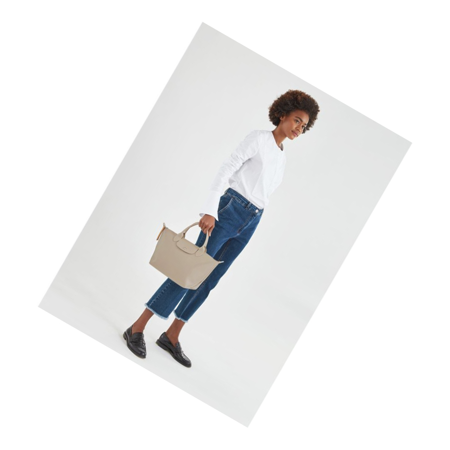 Bolsas De Mano Longchamp Le Pliage City S Mujer Beige | ES-KZJD760