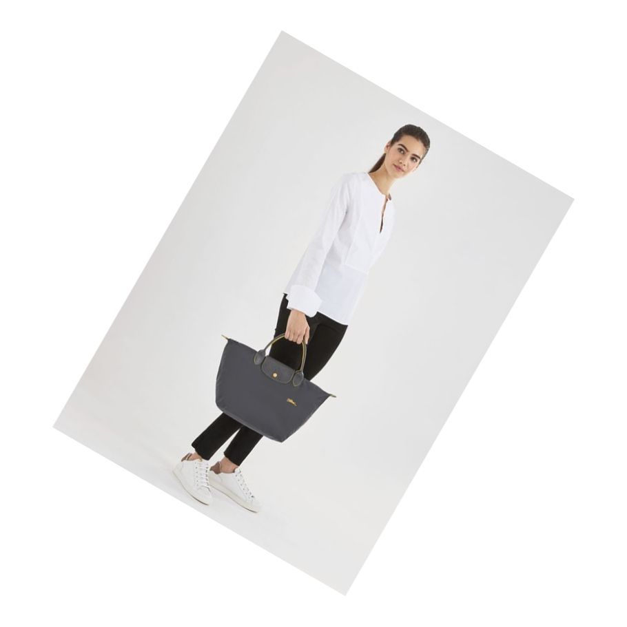 Bolsas De Mano Longchamp Le Pliage Club M Mujer Gris | ES-MXDV915