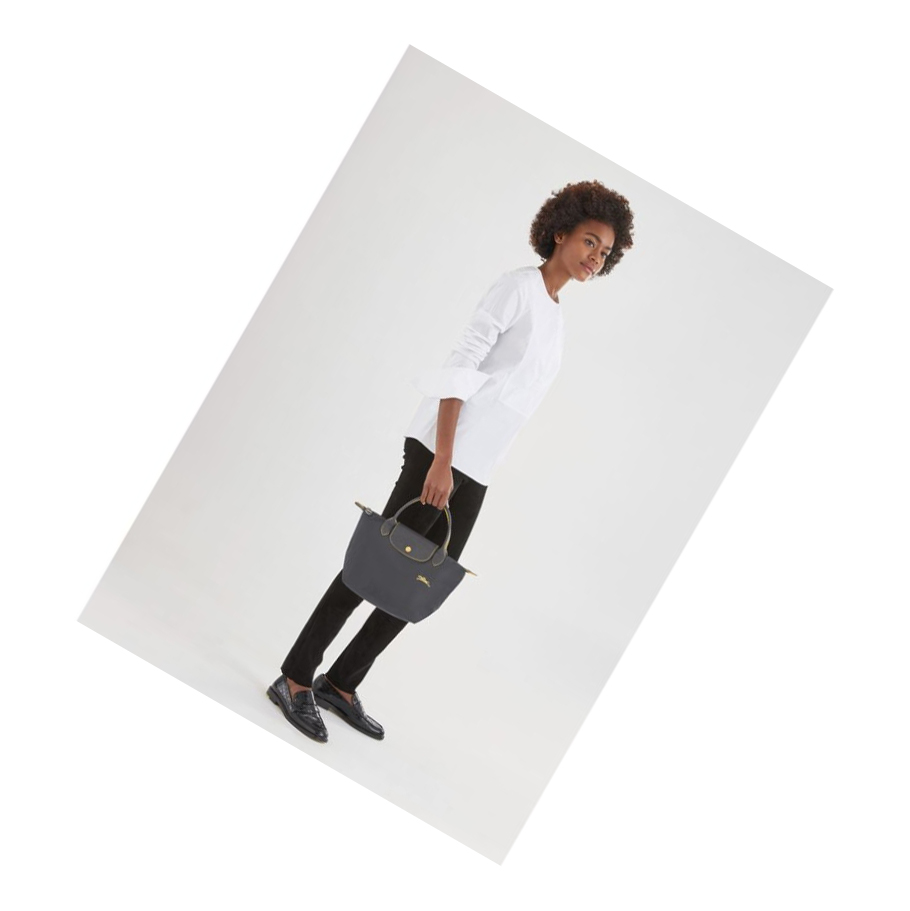 Bolsas De Mano Longchamp Le Pliage Club S Mujer Gris | ES-OITX245