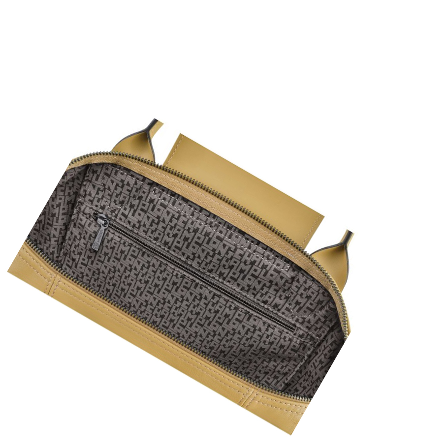 Bolsas De Mano Longchamp Le Pliage Cuir S Mujer Beige | ES-RWLU794