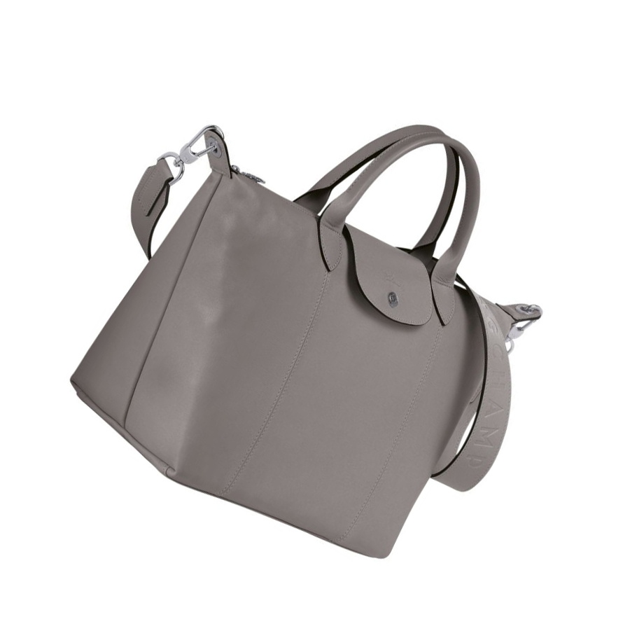 Bolsas De Mano Longchamp Le Pliage Cuir M Mujer Gris | ES-WBYF704