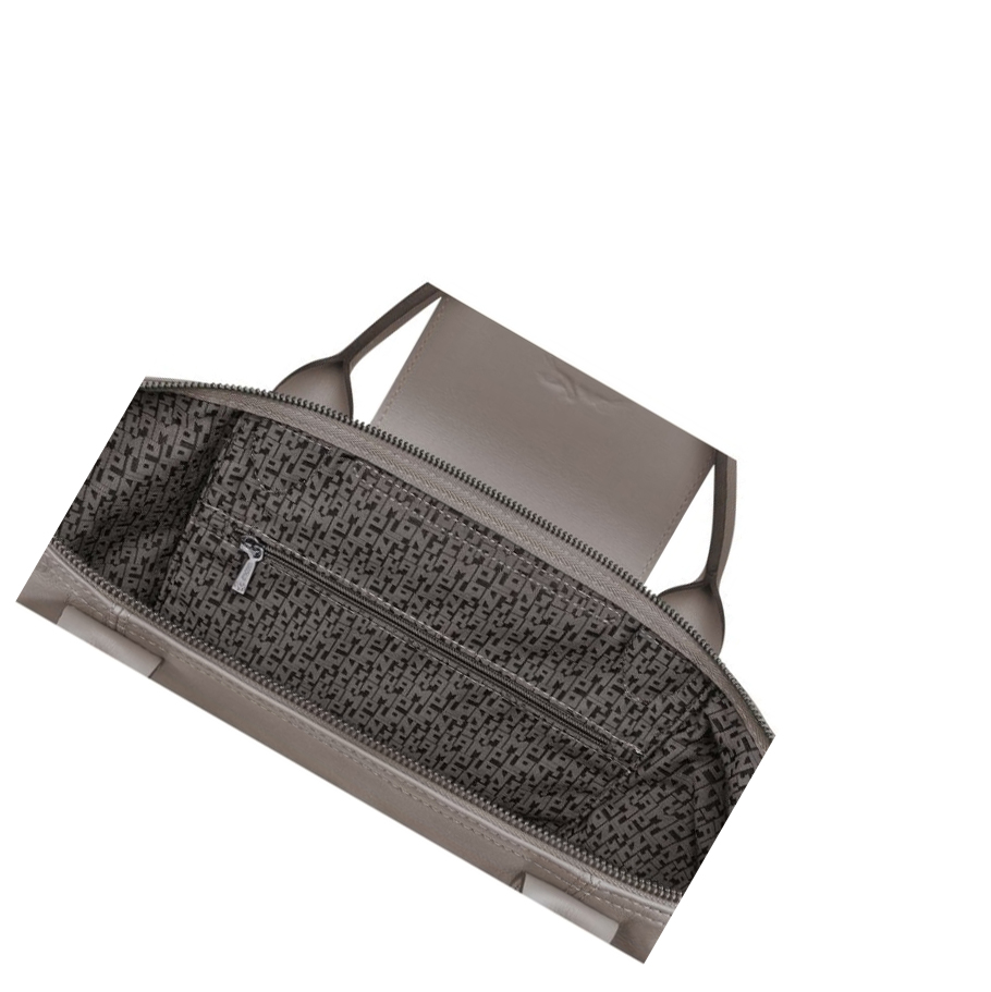 Bolsas De Mano Longchamp Le Pliage Cuir M Mujer Gris | ES-WBYF704
