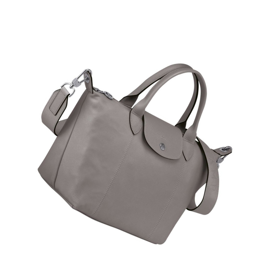 Bolsas De Mano Longchamp Le Pliage Cuir S Mujer Gris | ES-XRHA891