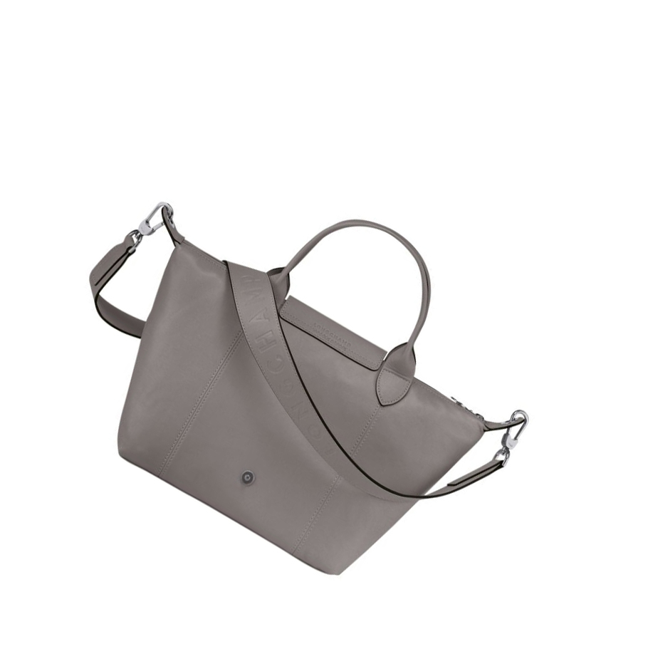 Bolsas De Mano Longchamp Le Pliage Cuir S Mujer Gris | ES-XRHA891