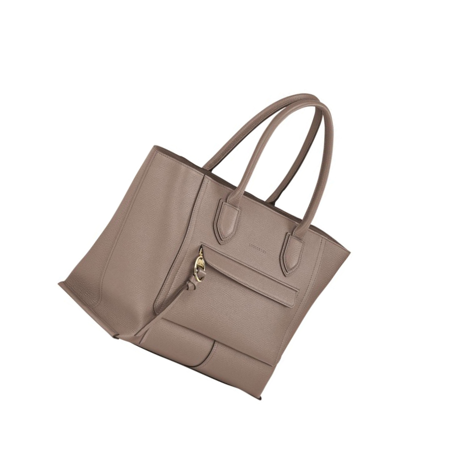 Bolsas De Mano Longchamp Mailbox L Mujer Marrones | ES-MDKL214