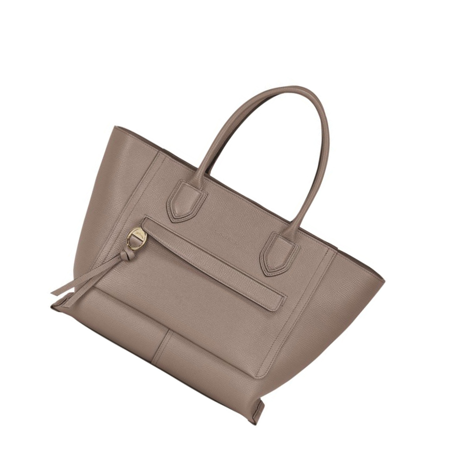 Bolsas De Mano Longchamp Mailbox L Mujer Marrones | ES-MDKL214