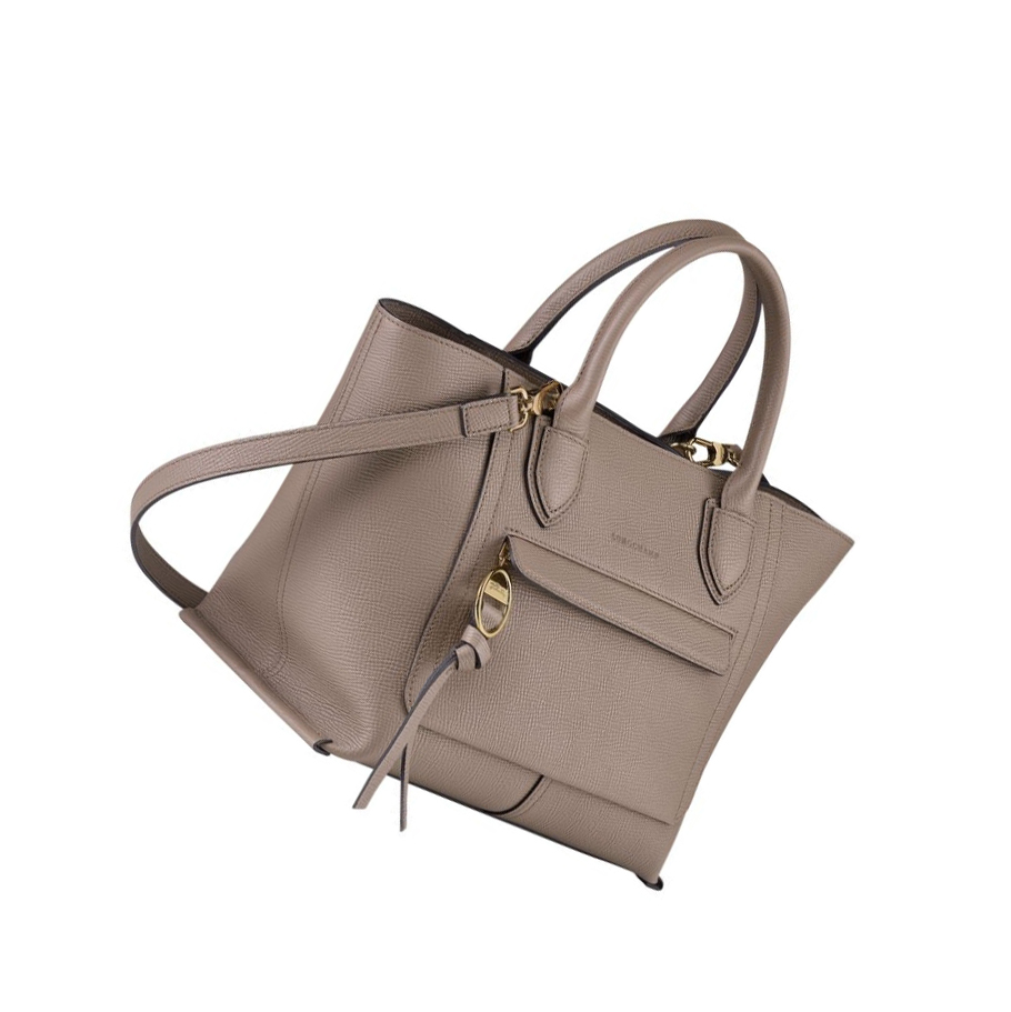 Bolsas De Mano Longchamp Mailbox M Mujer Marrones | ES-UIRG145