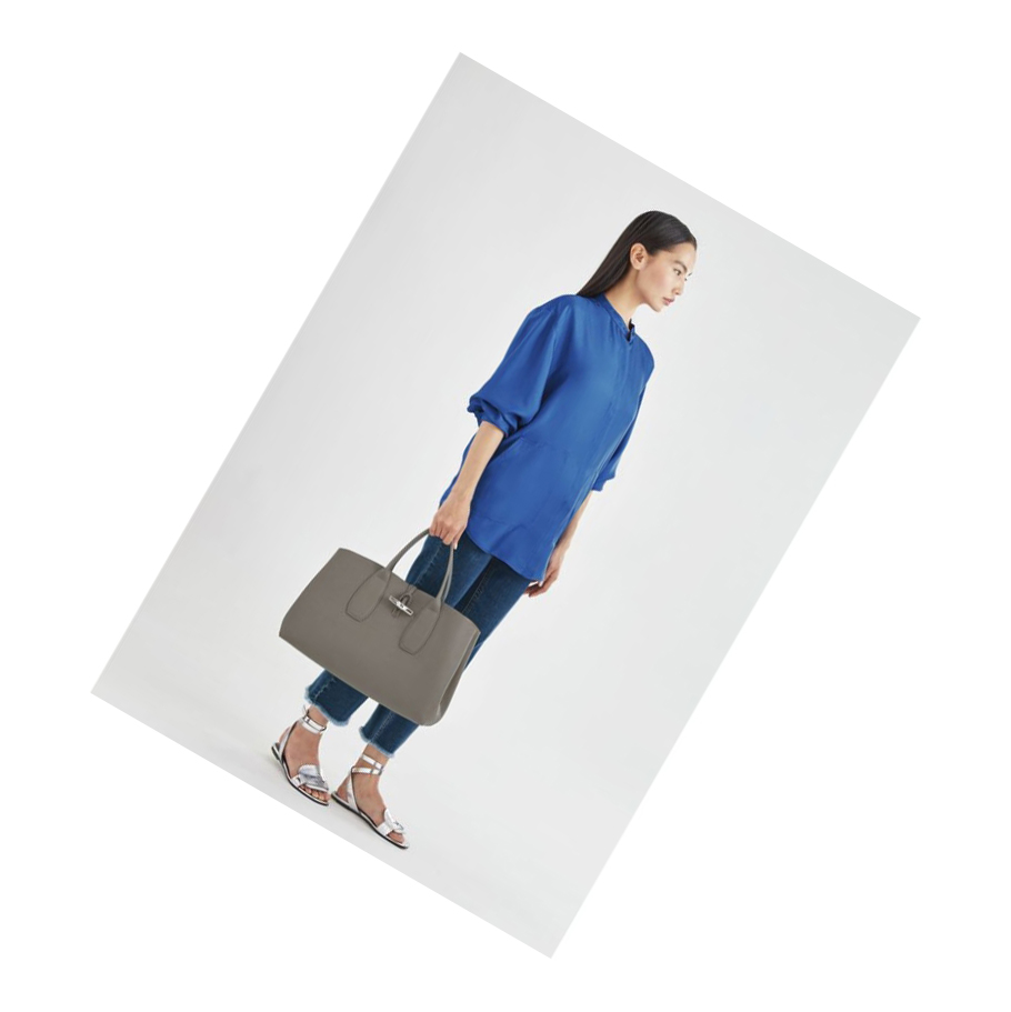 Bolsas De Mano Longchamp Roseau L Mujer Gris | ES-EJSV062