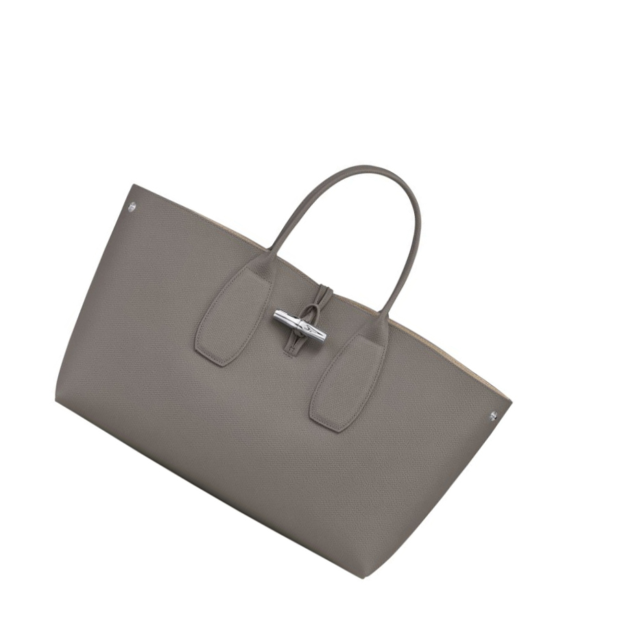 Bolsas De Mano Longchamp Roseau L Mujer Gris | ES-EJSV062