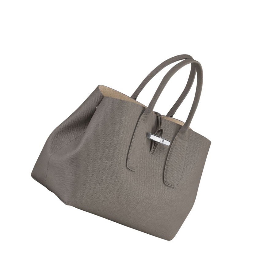 Bolsas De Mano Longchamp Roseau L Mujer Gris | ES-EJSV062