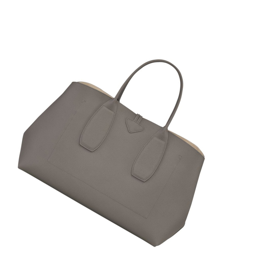 Bolsas De Mano Longchamp Roseau L Mujer Gris | ES-EJSV062