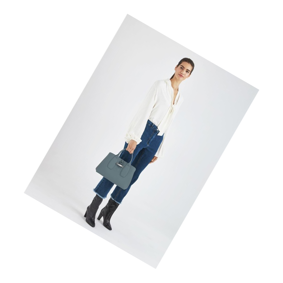 Bolsas De Mano Longchamp Roseau M Mujer Azules | ES-CXIA042
