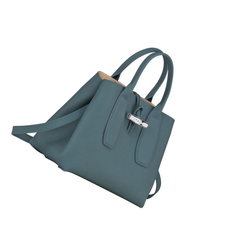 Bolsas De Mano Longchamp Roseau M Mujer Azules | ES-CXIA042