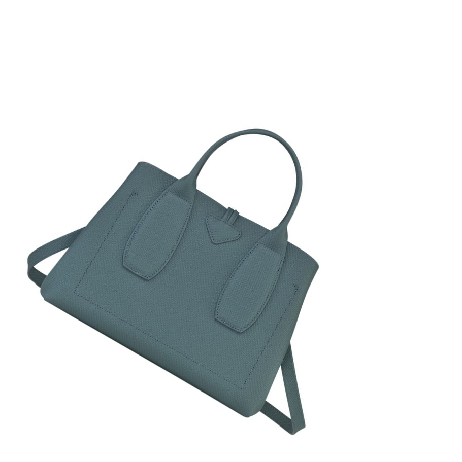 Bolsas De Mano Longchamp Roseau M Mujer Azules | ES-CXIA042
