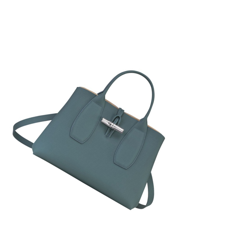 Bolsas De Mano Longchamp Roseau M Mujer Azules | ES-CXIA042
