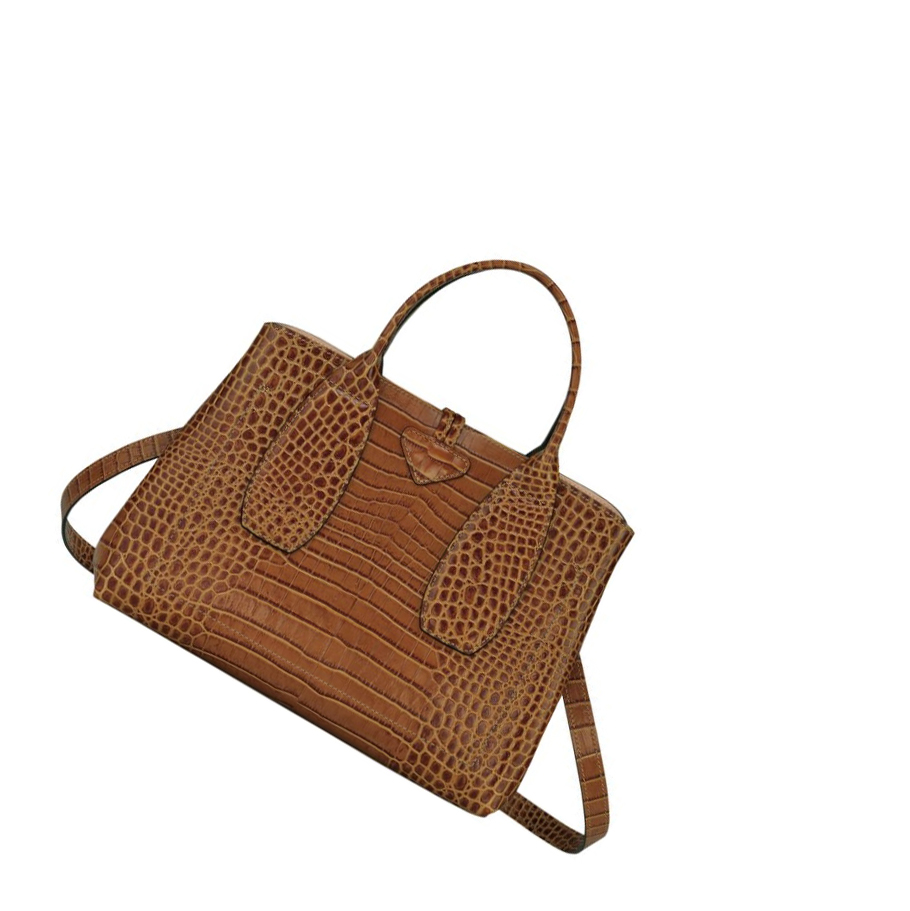 Bolsas De Mano Longchamp Roseau M Mujer Marrones | ES-VRPB950