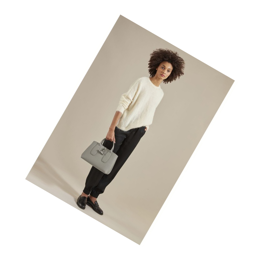 Bolsas De Mano Longchamp Roseau M Mujer Gris | ES-XPNT198