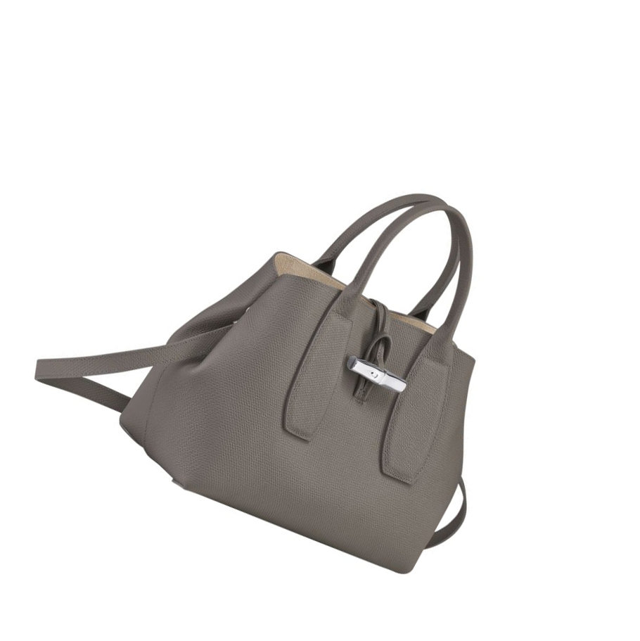 Bolsas De Mano Longchamp Roseau M Mujer Gris | ES-XPNT198