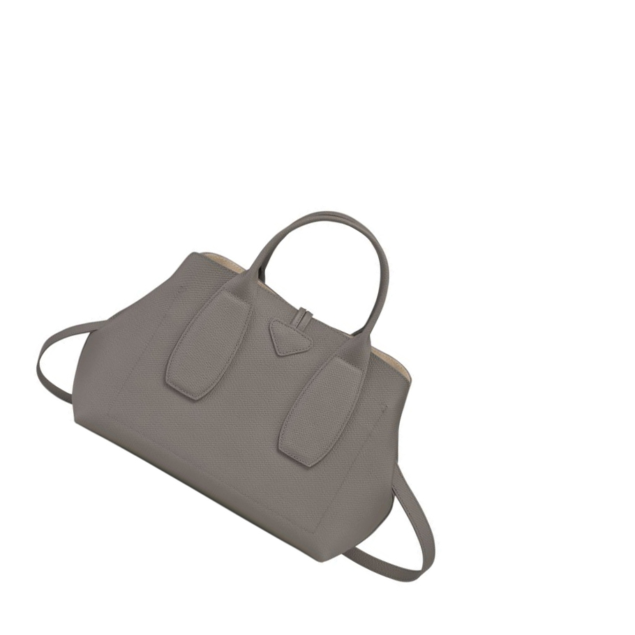 Bolsas De Mano Longchamp Roseau M Mujer Gris | ES-XPNT198