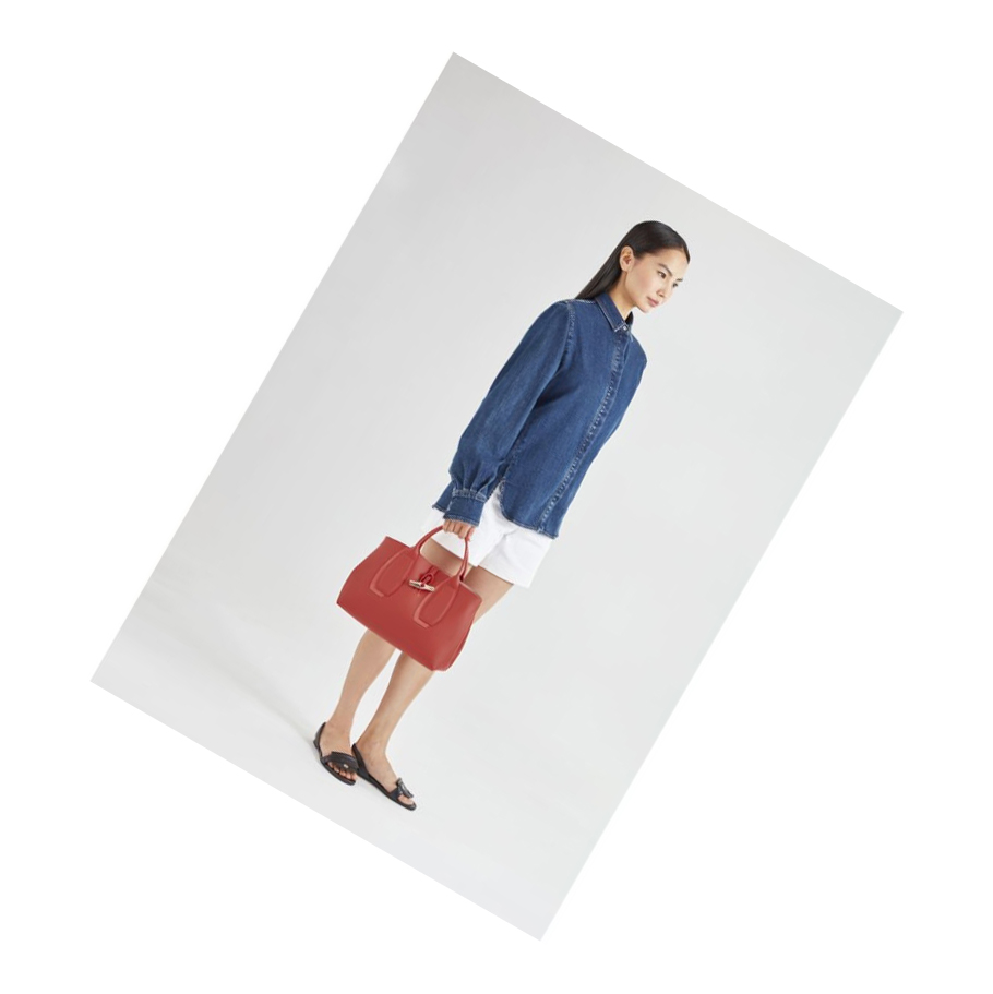Bolsas De Mano Longchamp Roseau Shadow M Mujer Marrones | ES-WGSK013