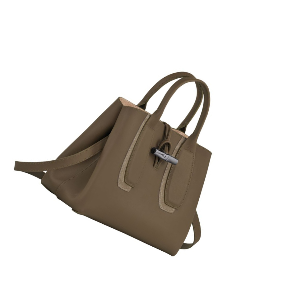 Bolsas De Mano Longchamp Roseau Shadow M Mujer Marrones | ES-WGSK013