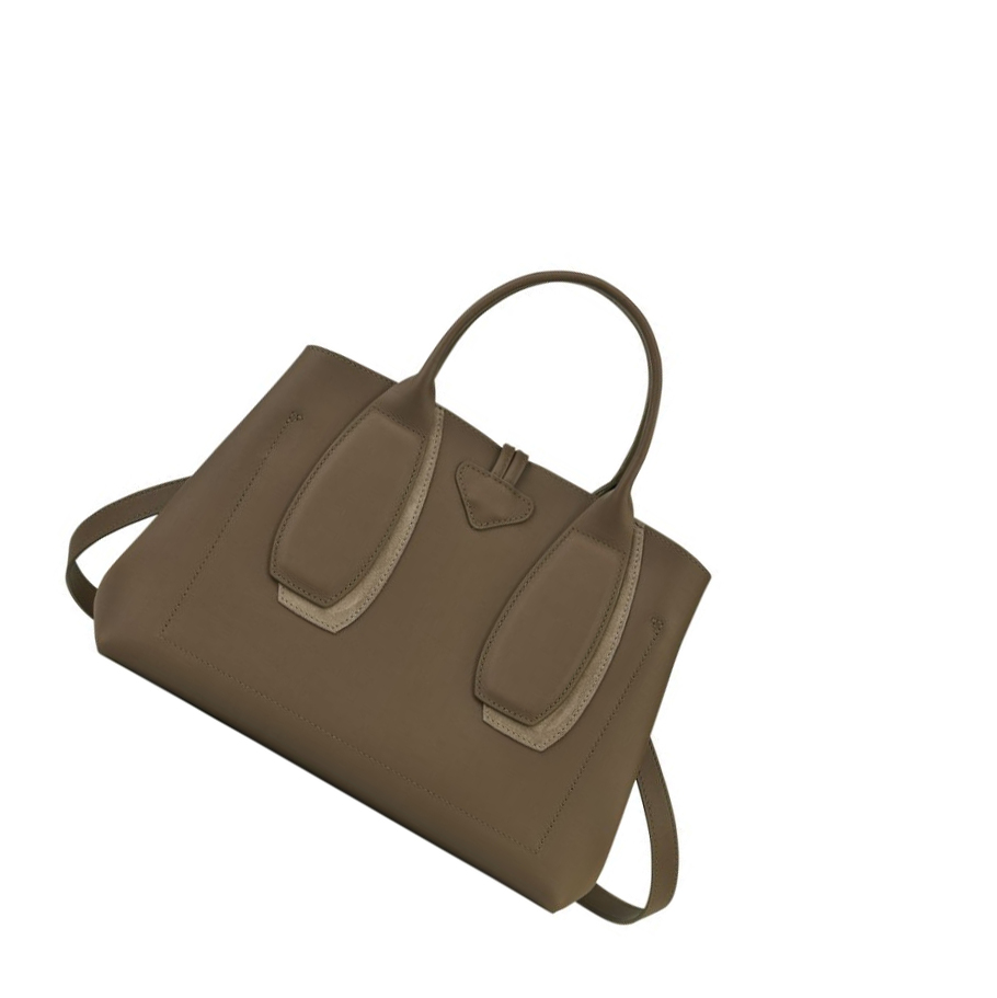 Bolsas De Mano Longchamp Roseau Shadow M Mujer Marrones | ES-WGSK013
