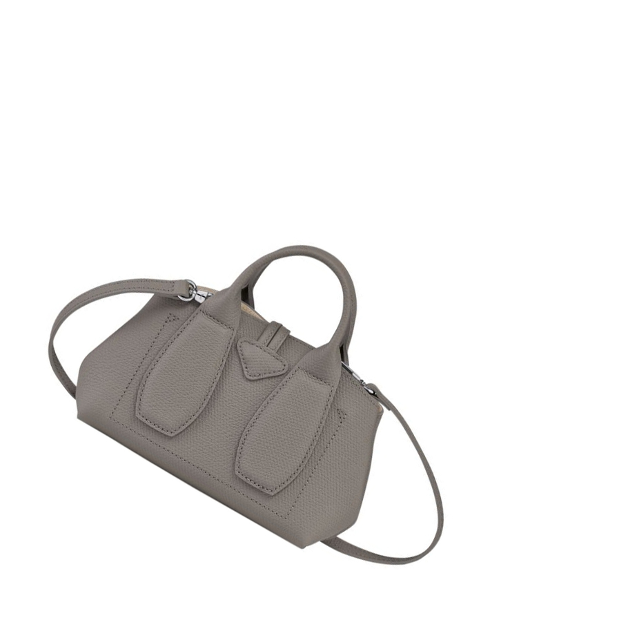 Bolsas De Mano Longchamp Roseau XS Mujer Gris | ES-JGEH952