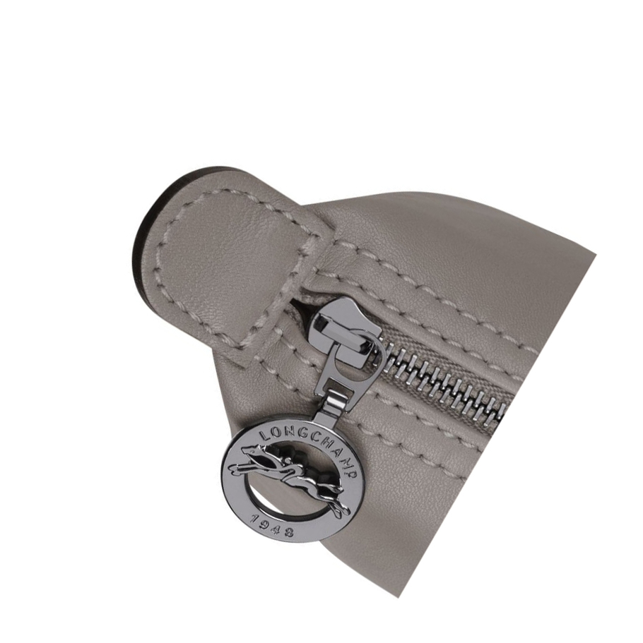 Bolso Pequeño Longchamp Le Pliage Cuir Mujer Gris | ES-OBJQ283