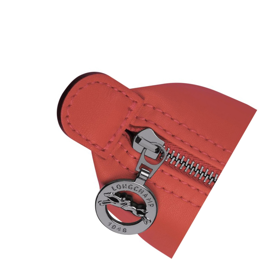 Bolso Pequeño Longchamp Le Pliage Cuir Mujer Rojas | ES-XJAT752