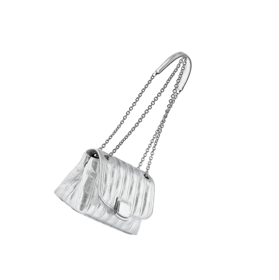 Bolsos Cruzados Longchamp Brioche Métal S Mujer Plateadas | ES-DBEC605