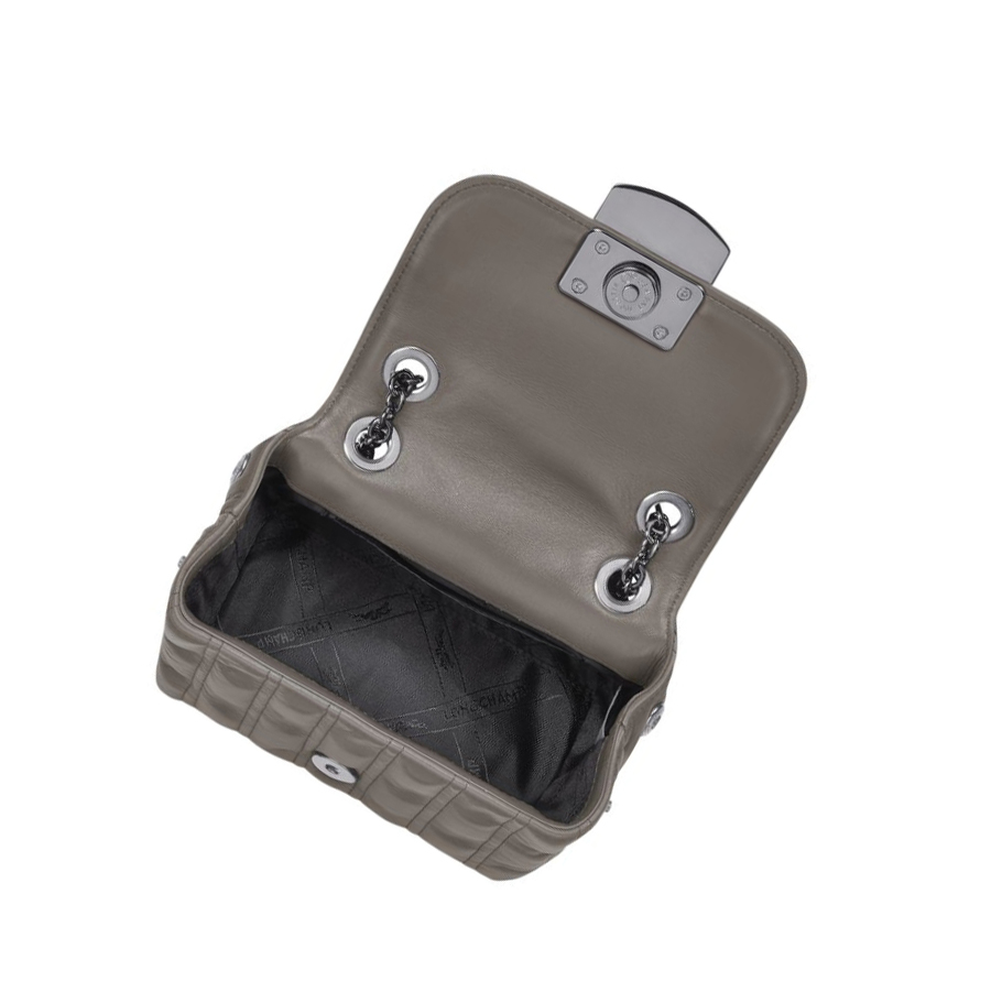 Bolsos Cruzados Longchamp Brioche XS Mujer Gris | ES-AVLE172