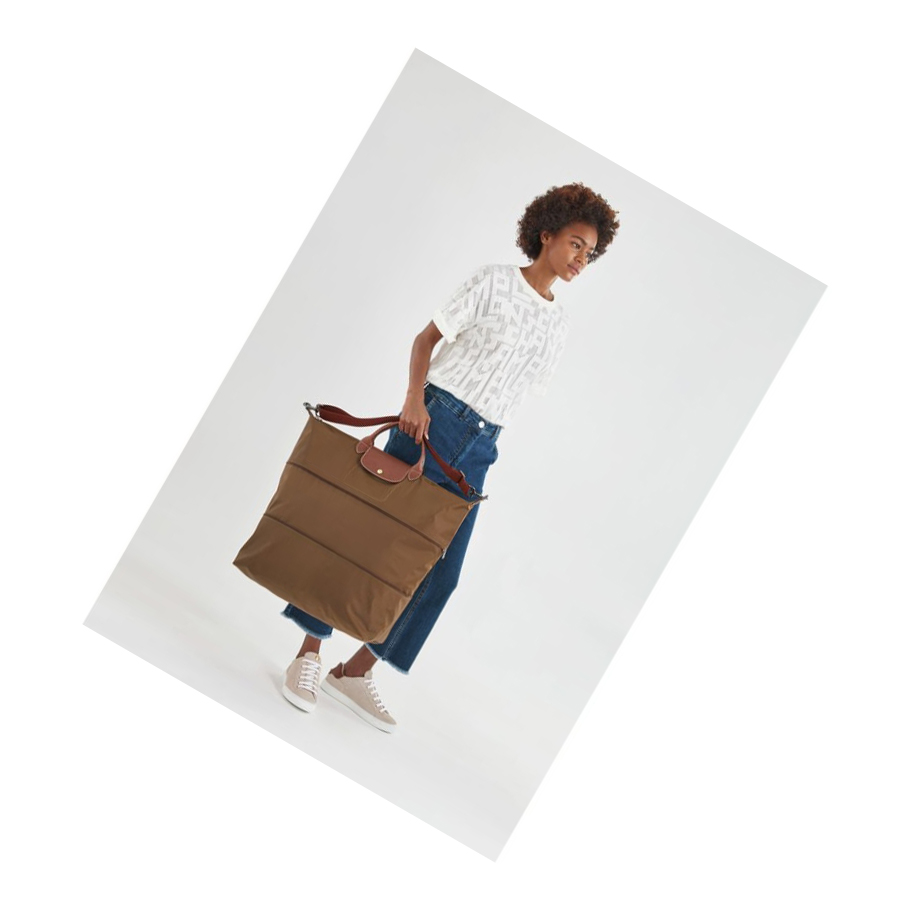 Bolsos De Viaje Longchamp Le Pliage Hombre Marrones | ES-AQDB138