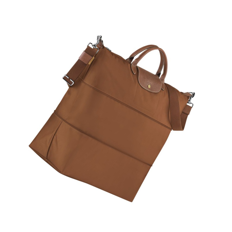 Bolsos De Viaje Longchamp Le Pliage Hombre Marrones | ES-AQDB138