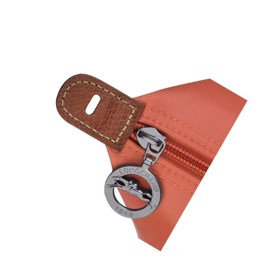 Bolsos De Viaje Longchamp Le Pliage L Hombre Rosas | ES-PBKF651