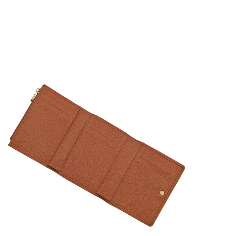 Carteras Longchamp Le Foulonné Mujer Marrones | ES-GIXE094