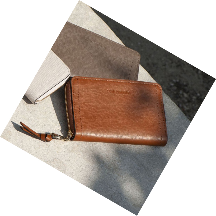 Carteras Longchamp Mailbox Mujer Marrones | ES-VBEH927