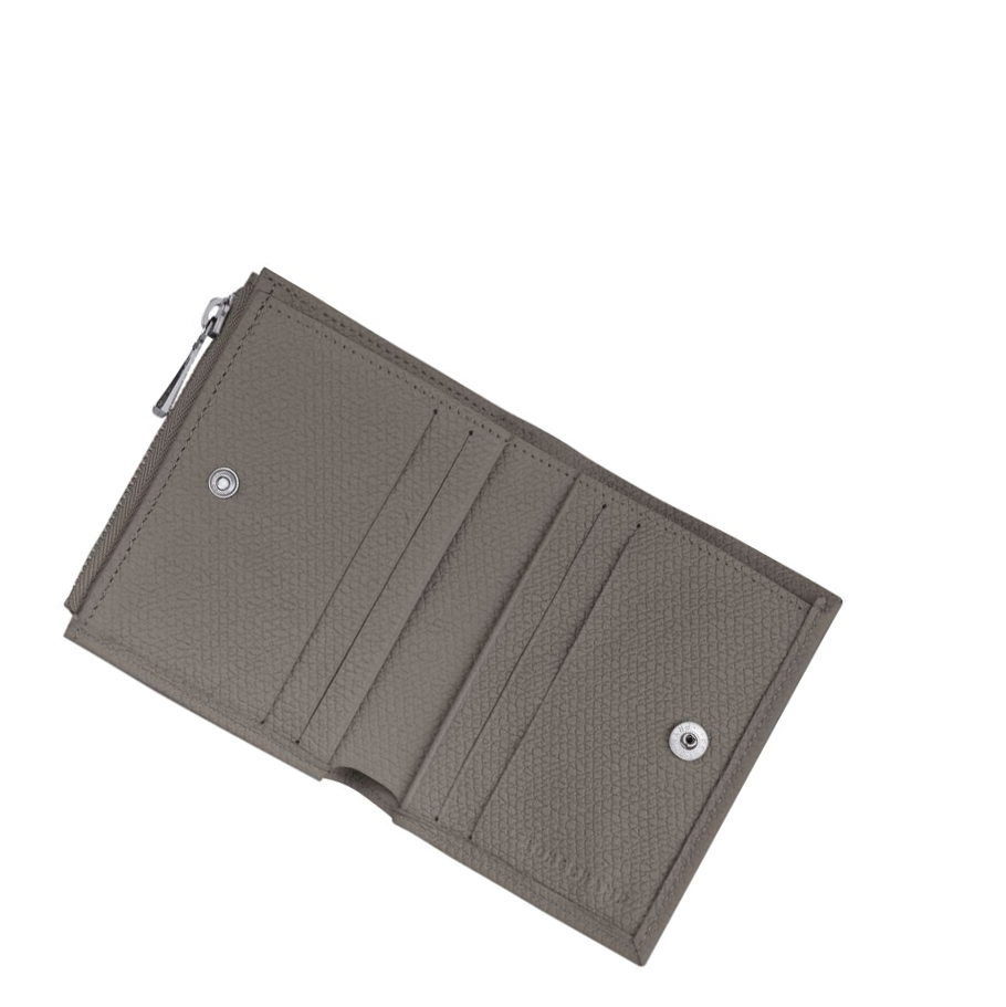 Carteras Longchamp Roseau Mujer Gris | ES-EUSI306