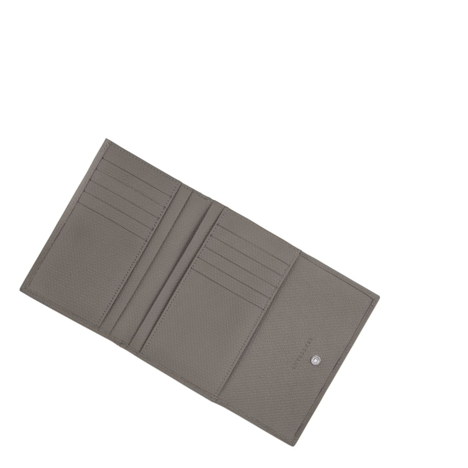 Carteras Longchamp Roseau Mujer Gris | ES-NKTO608