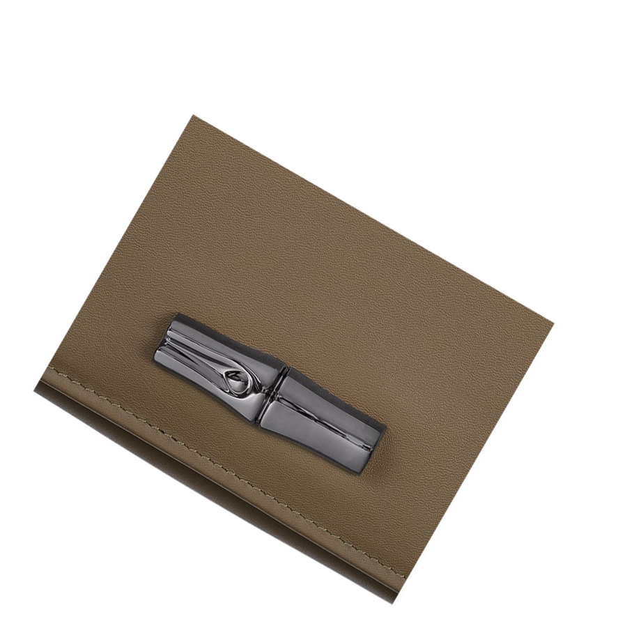 Carteras Longchamp Roseau Shadow Mujer Marrones | ES-XRYE072