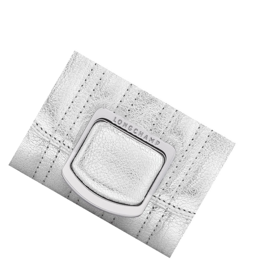Cremallera De Carteras Longchamp Brioche Métal Mujer Plateadas | ES-VISH724