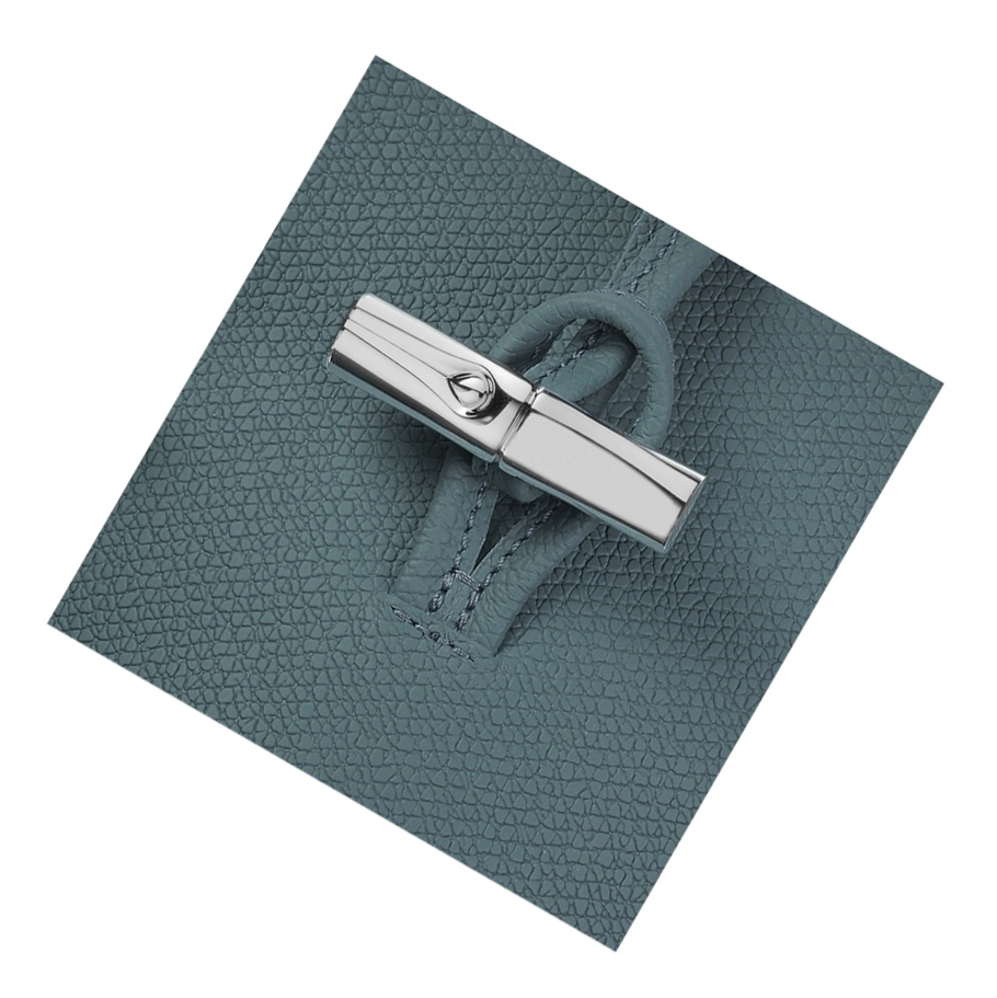 Fundas de Móvil Longchamp Roseau Mujer Azules | ES-YMKL657