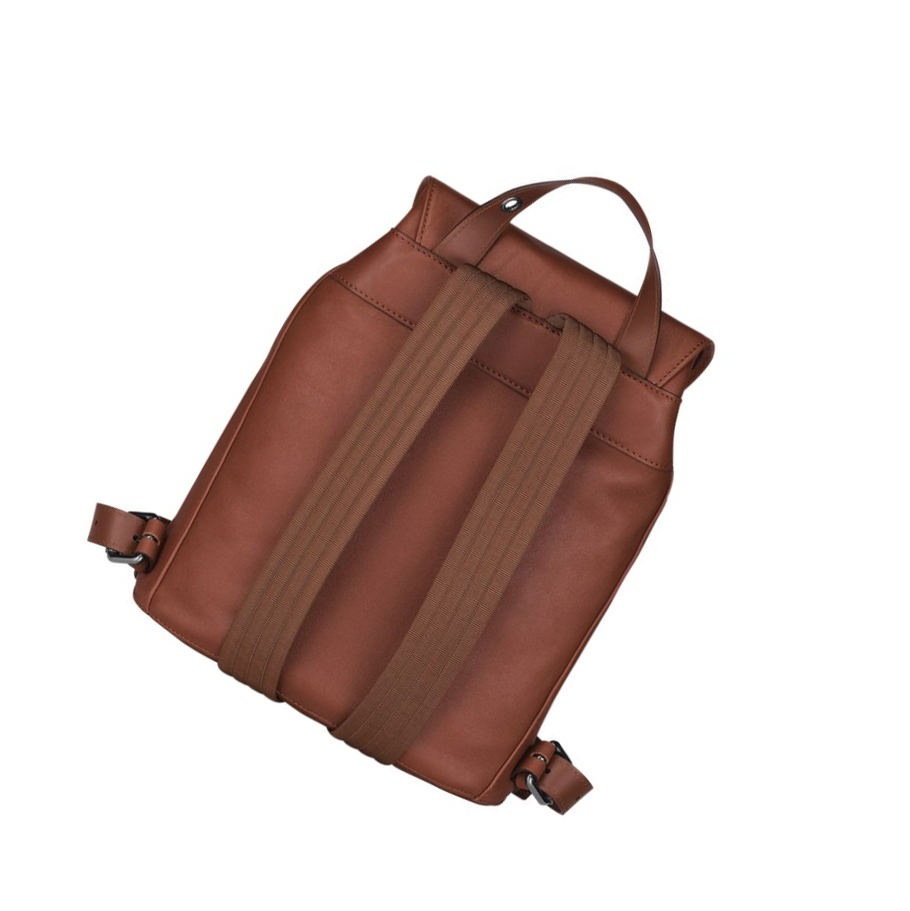 Mochilas Longchamp 3D S Hombre Marrones | ES-DMER406