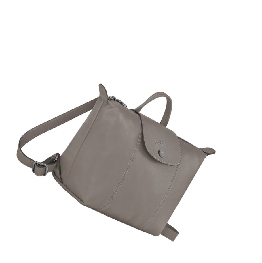 Mochilas Longchamp Le Pliage Cuir Mujer Gris | ES-VRIT349