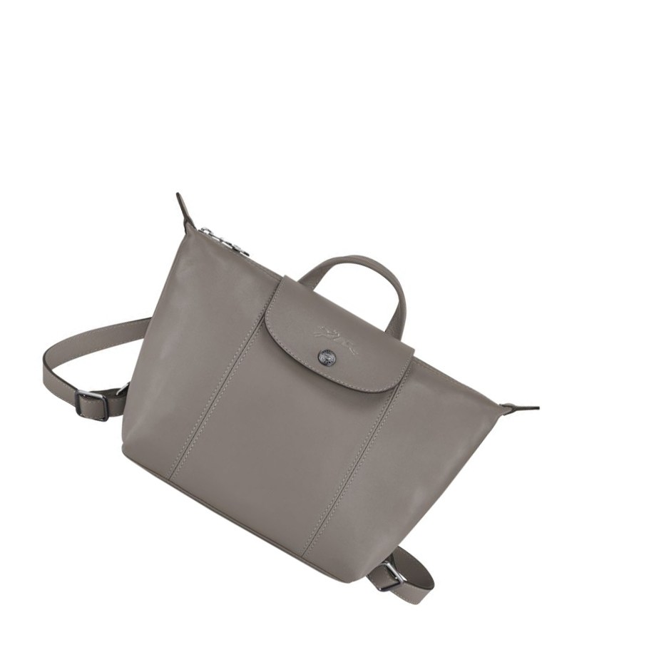 Mochilas Longchamp Le Pliage Cuir Mujer Gris | ES-VRIT349