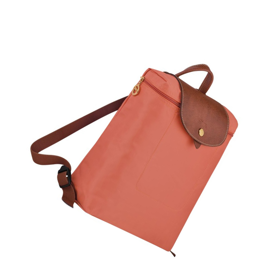 Mochilas Longchamp Le Pliage Original Mujer Rosas | ES-SGAY890