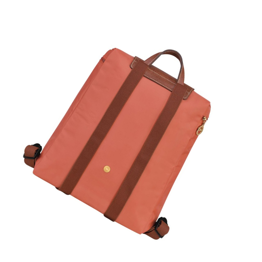 Mochilas Longchamp Le Pliage Original Mujer Rosas | ES-SGAY890