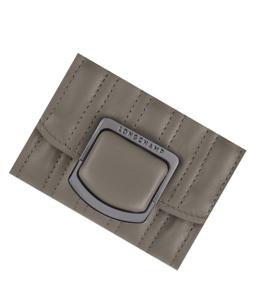 Tarjeteros Longchamp Brioche Mujer Gris | ES-BSYZ068